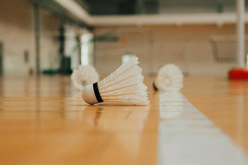 badminton game