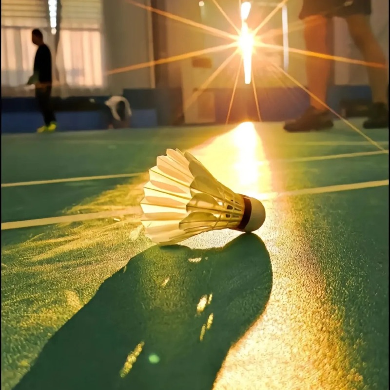Casual Badminton Session - Redhill